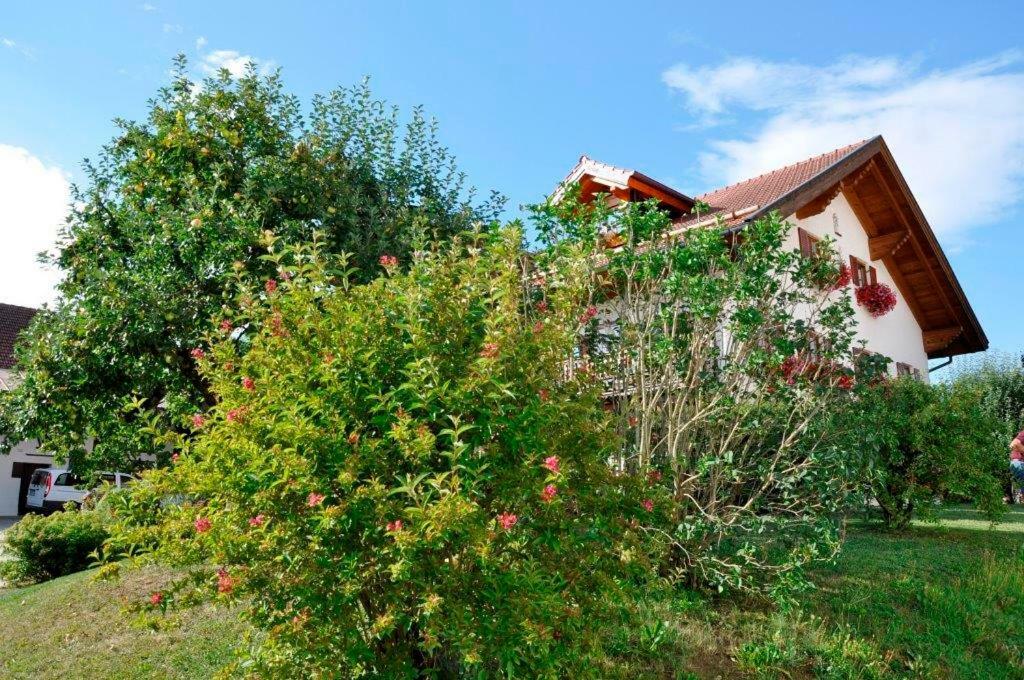 Gaestehaus Walser